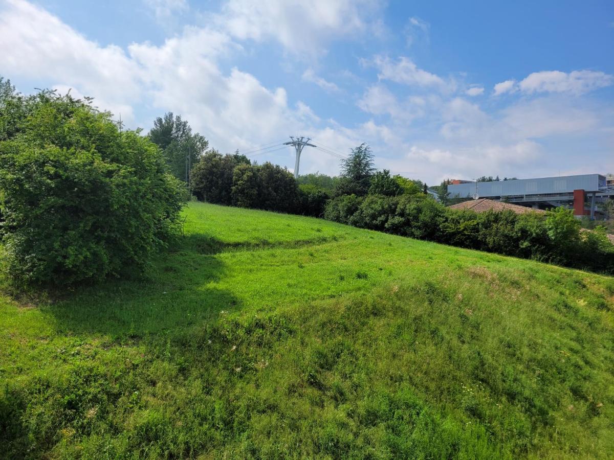 Chambre Sud Chez Habitant Toulouse Exteriör bild